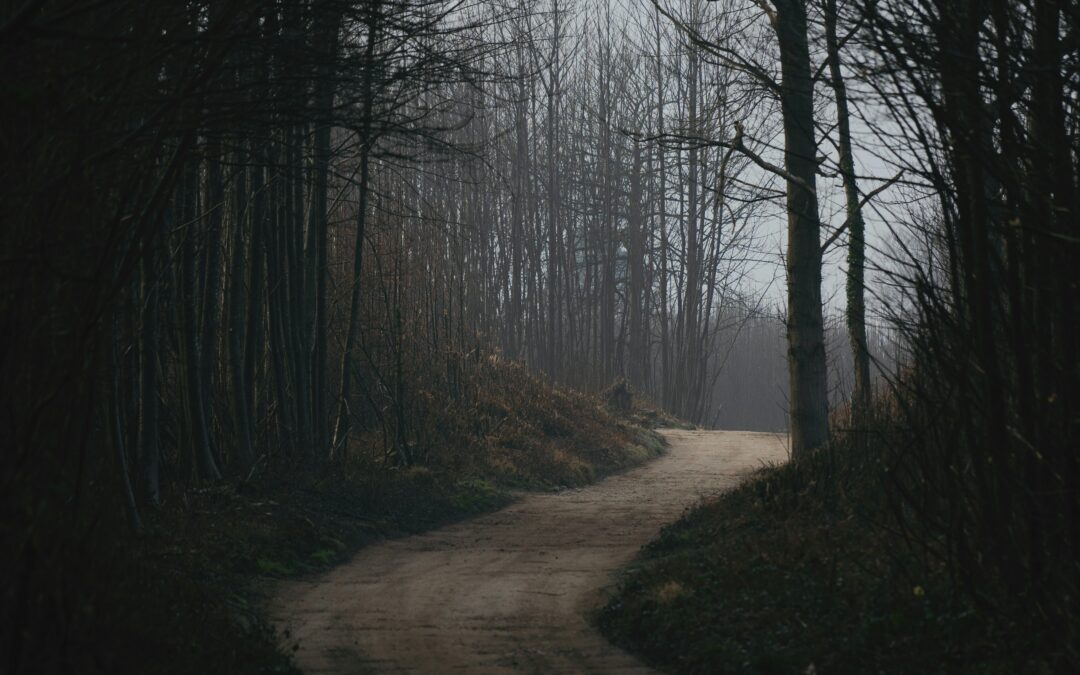 What’s Your Own Path Through the Woods?