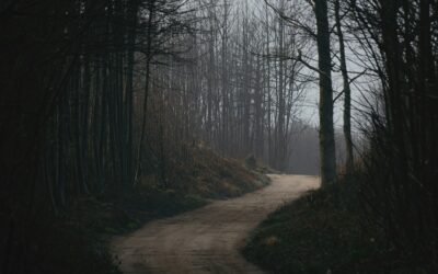 What’s Your Own Path Through the Woods?